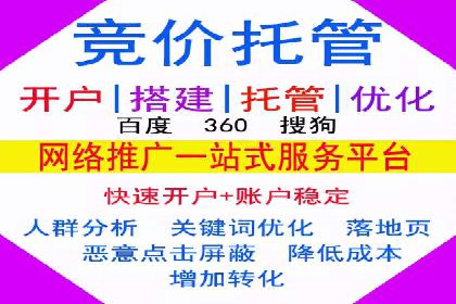 行业领先企业的SEM服务托管策略案例